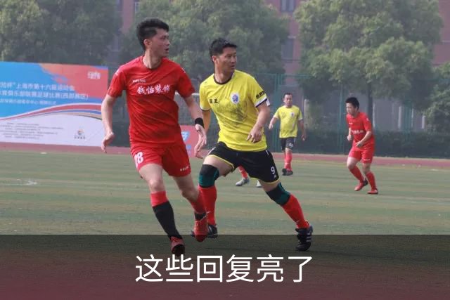 这些回复亮了